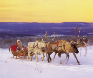 yapboz Christmas Reindeer tarafından çekilen atlı kızak ve hediyeler ve Santa Claus yüklü